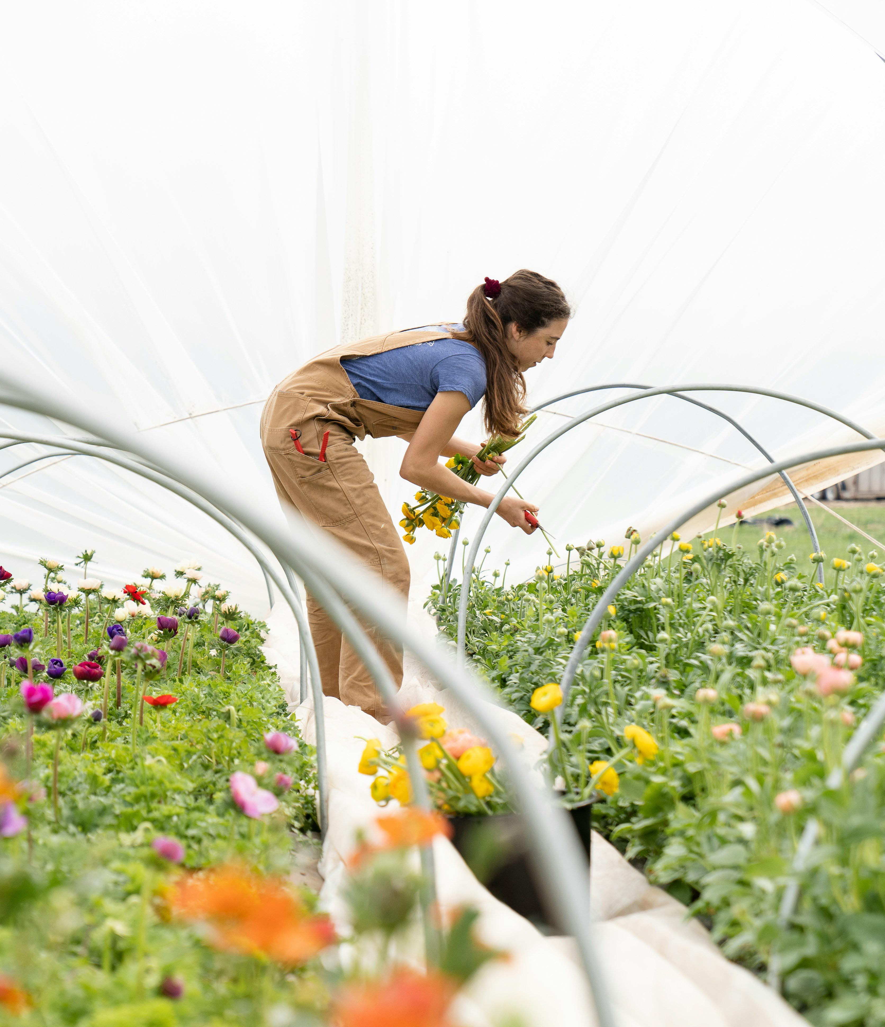 花を育てている画像